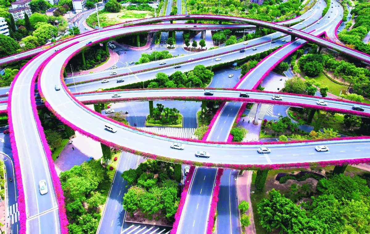 福州高架橋 三角梅紅鑲邊