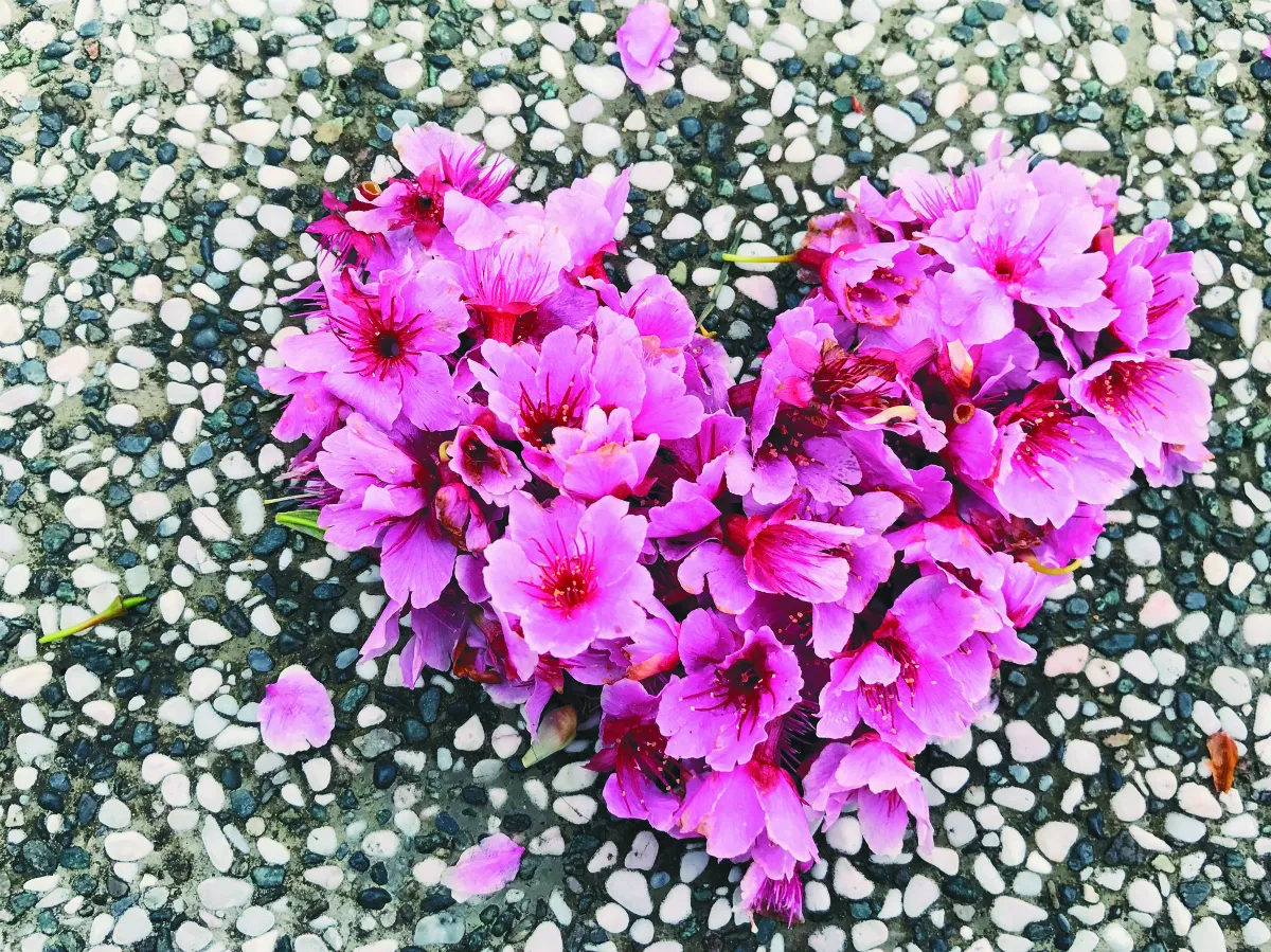 親密生命的獎章