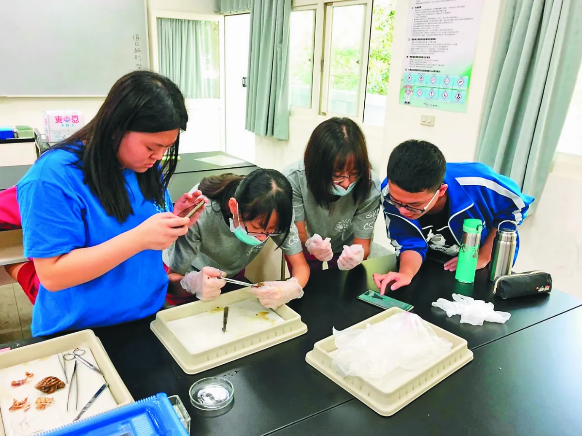 自主學習 高中生獨立做研究
