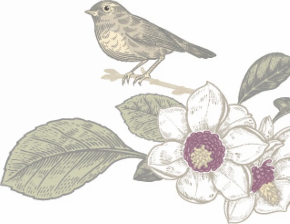 隨堂開示錄─教育講習 18 如何做一個出家人 6-6