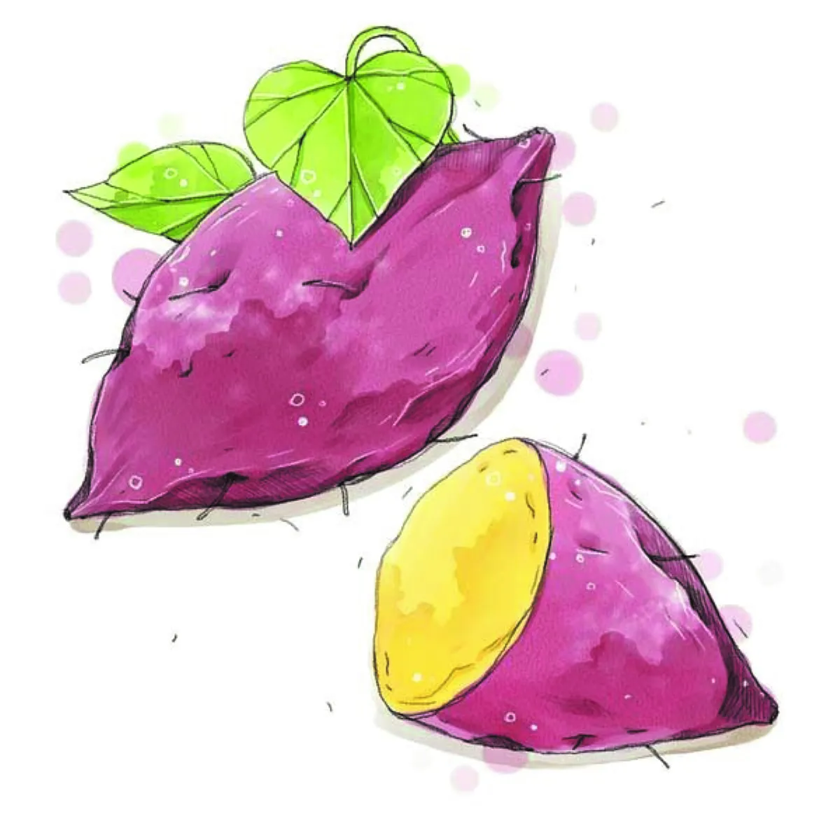 歷史趣聞 番薯好食免大條