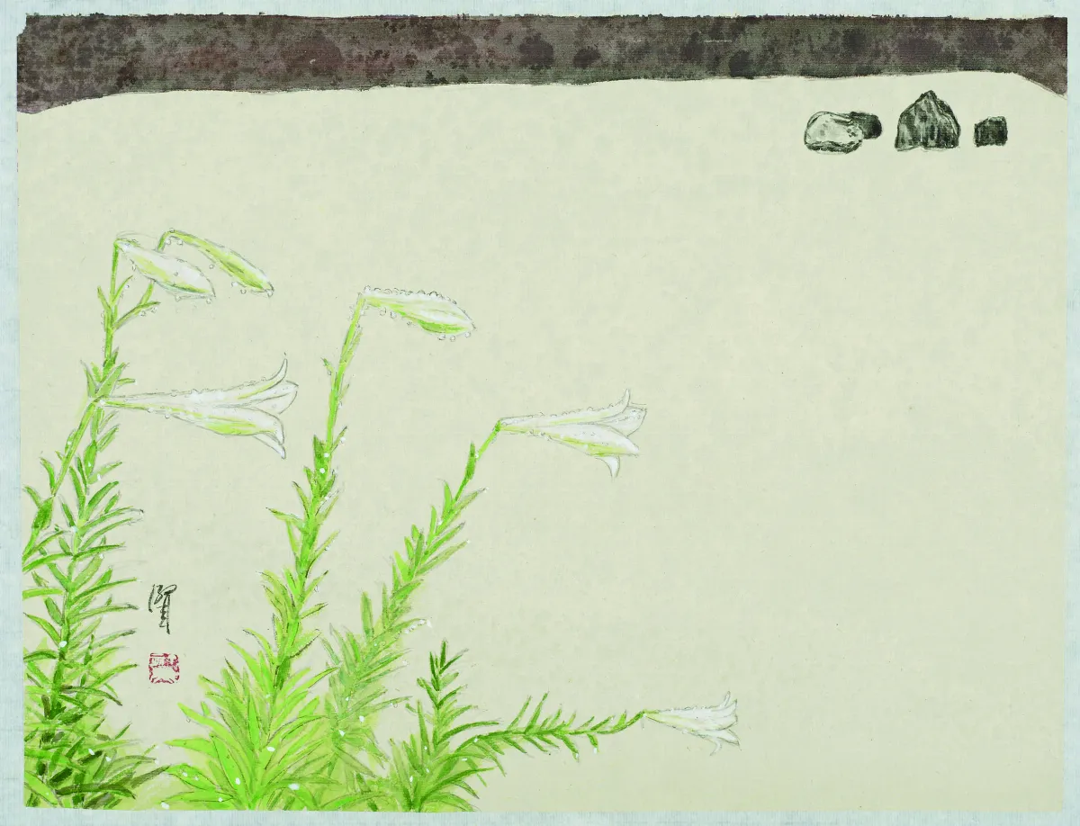 節氣24帖   五苓一年 穀雨‧百合‧仰望