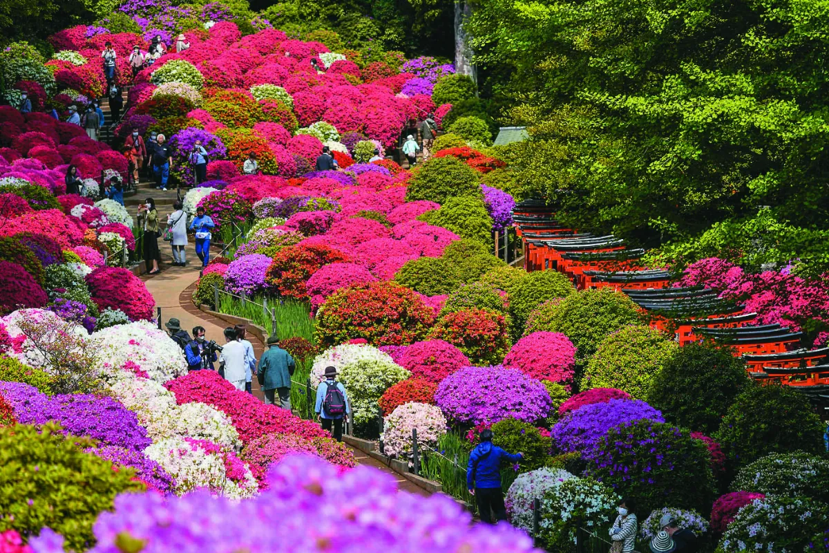 花團錦簇