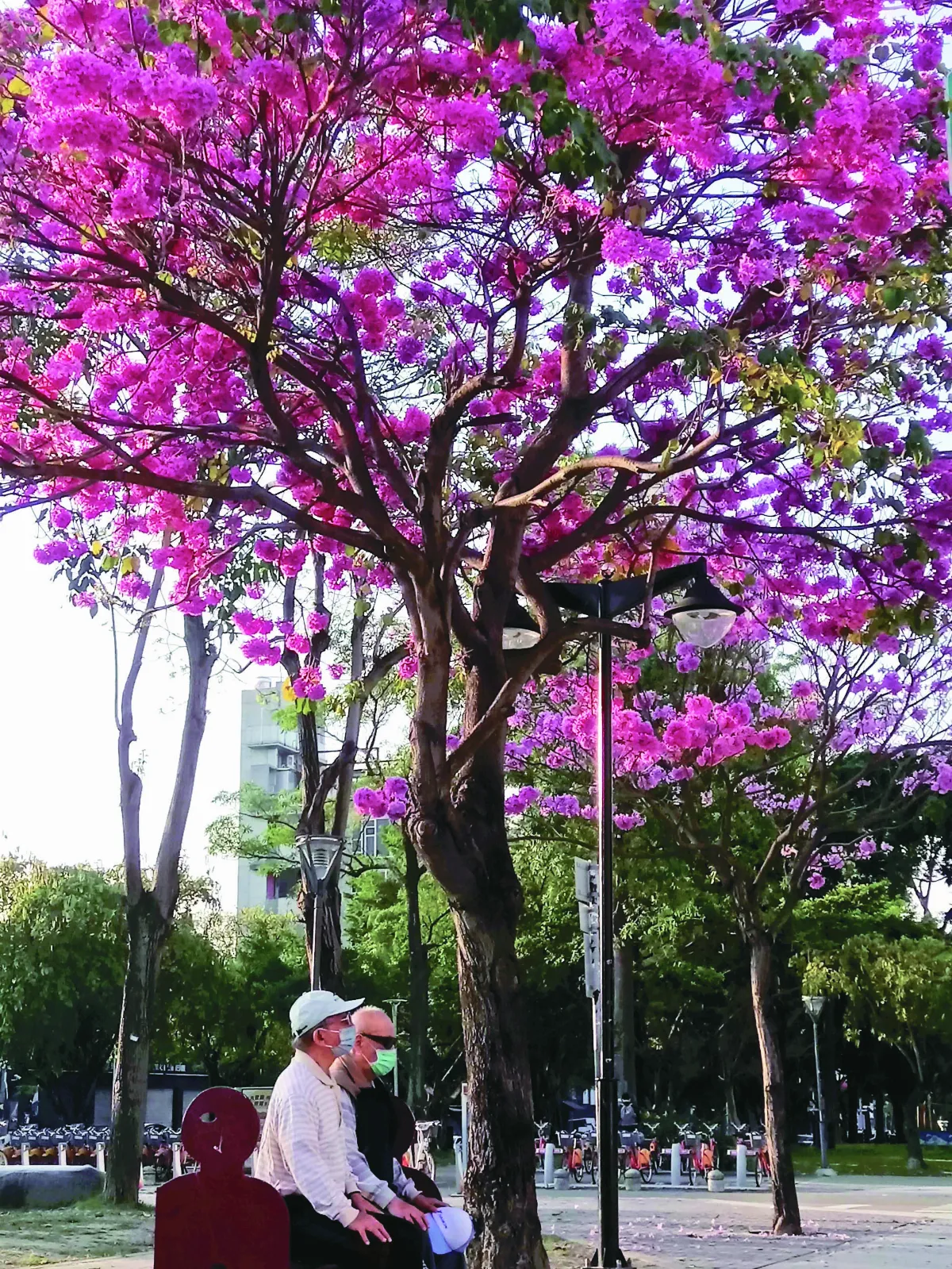 生活快門 盡在不言中