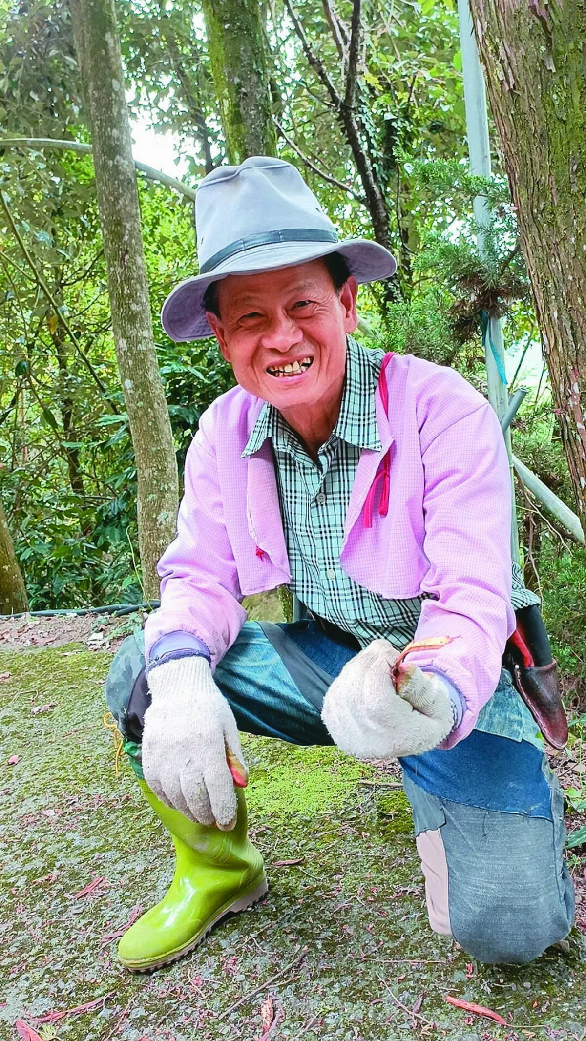 愛地球 賴桑種下 40萬棵希望