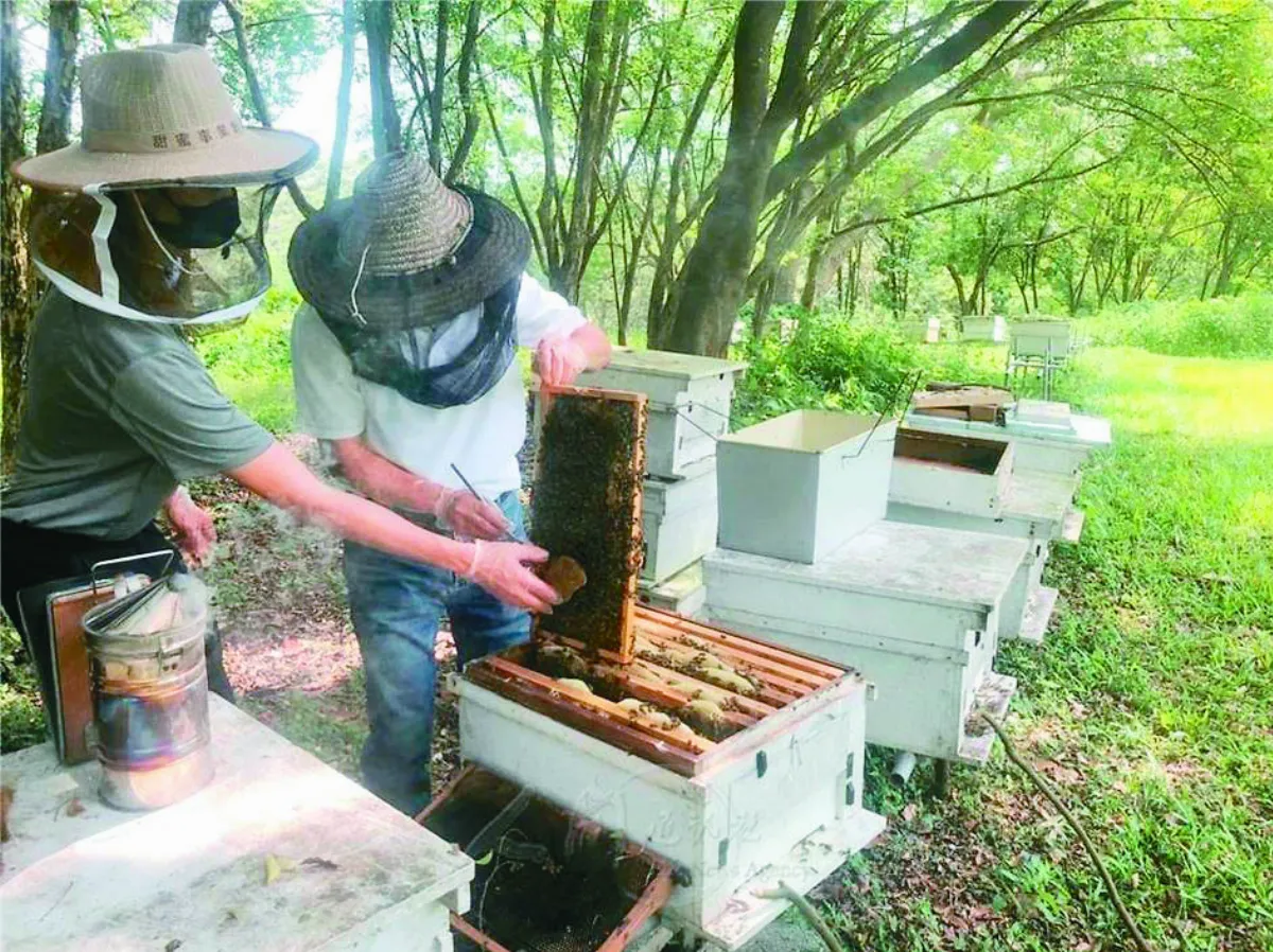 推生物動力農法 南華實踐永續