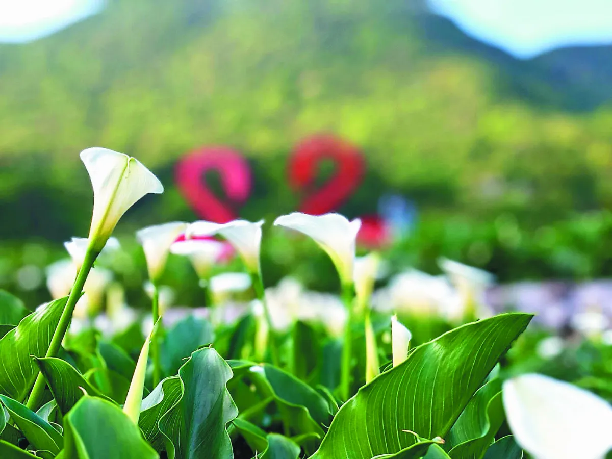 【自然生活 3～4月主題徵文】走山
