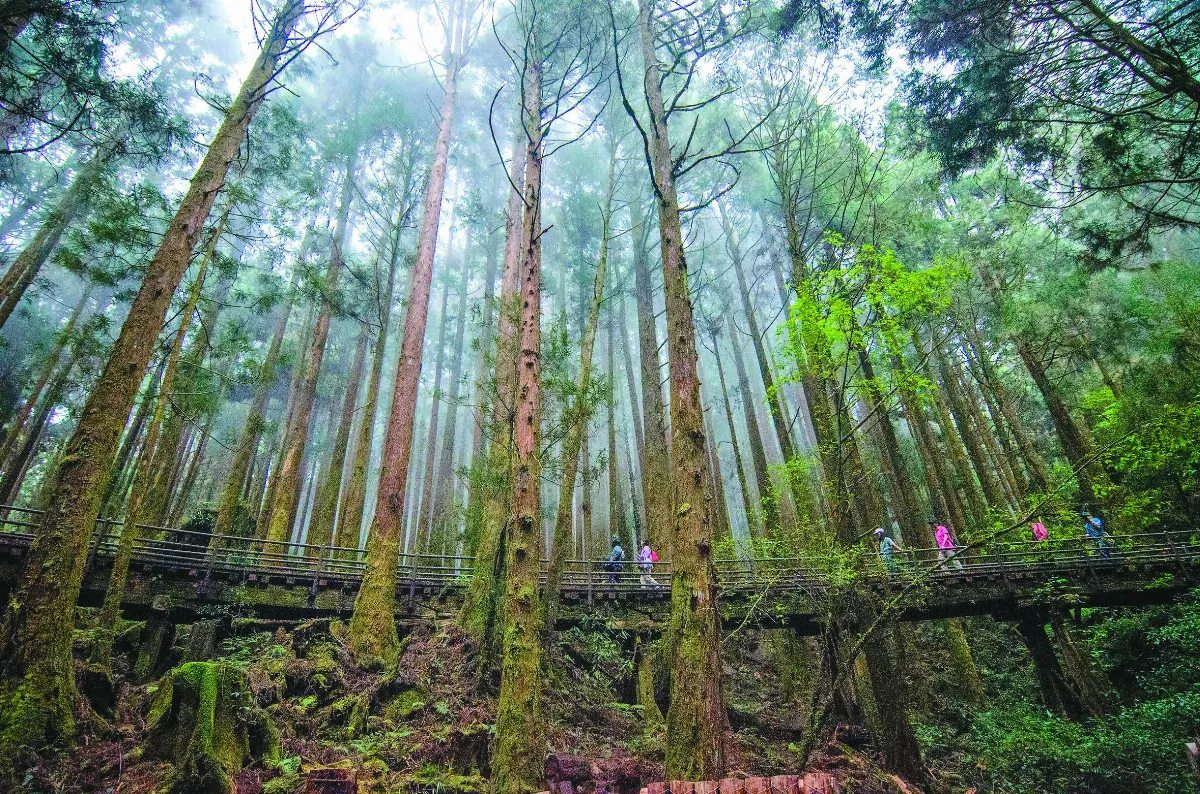 走降肉步道 擁抱自然