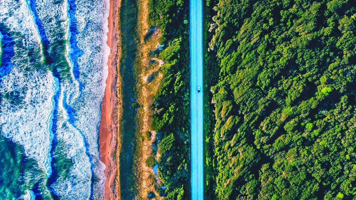 海升陸沉 紐西蘭淹沒加快1倍