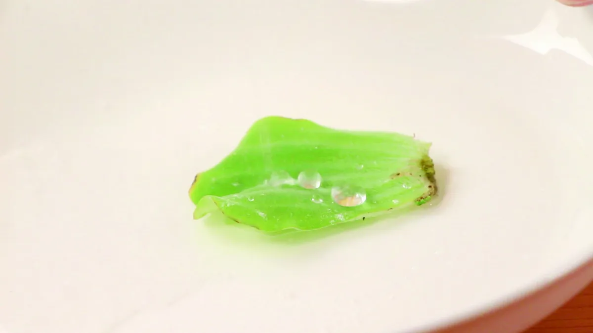 奈米是什麼米？