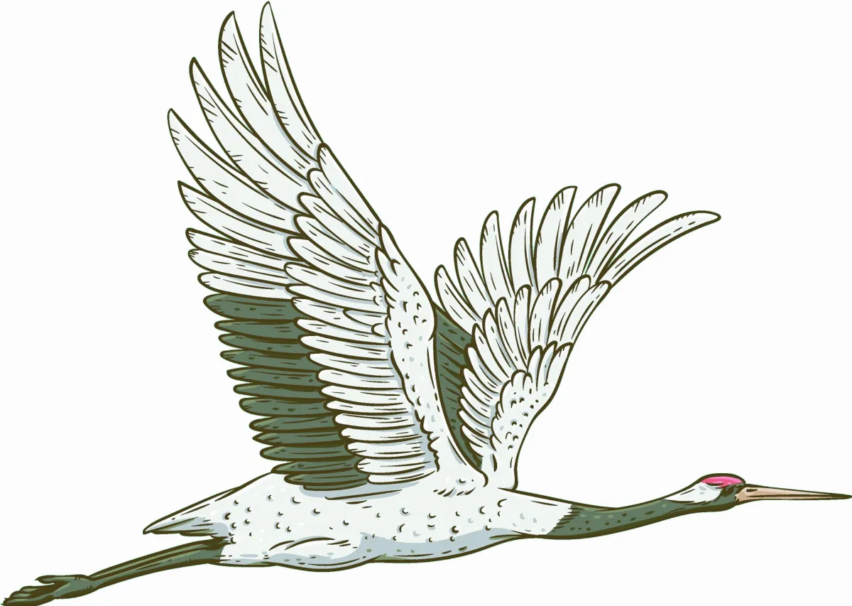 飛得和天一樣高