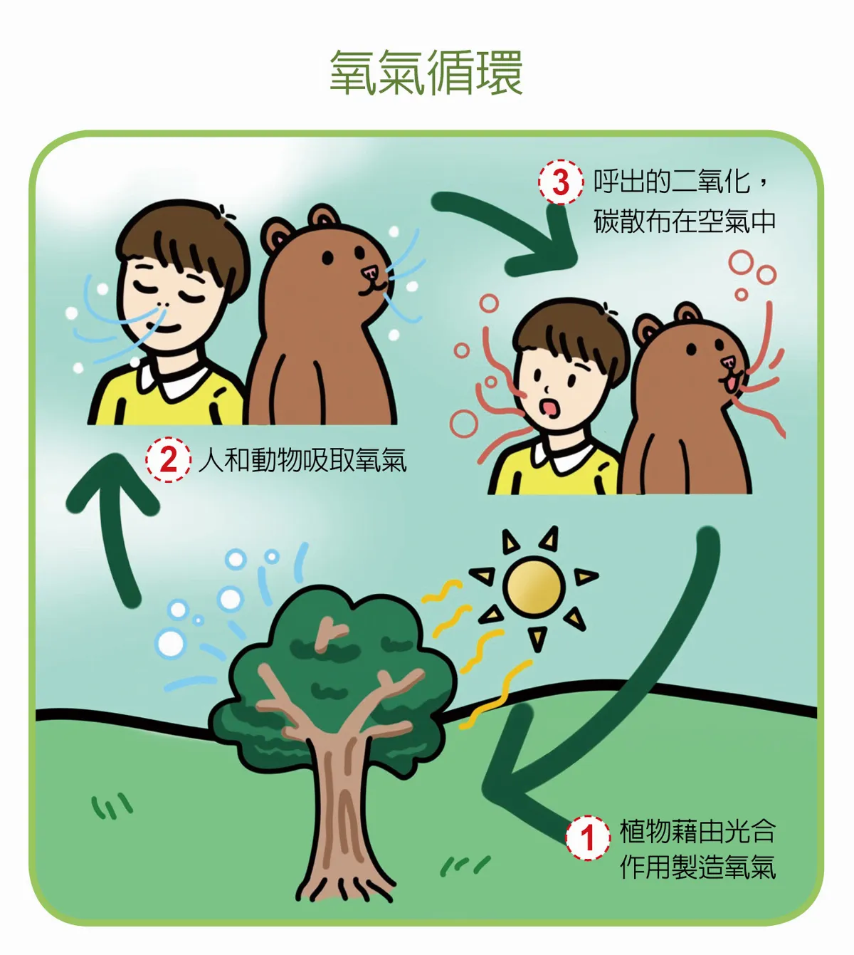 植物的光合作用