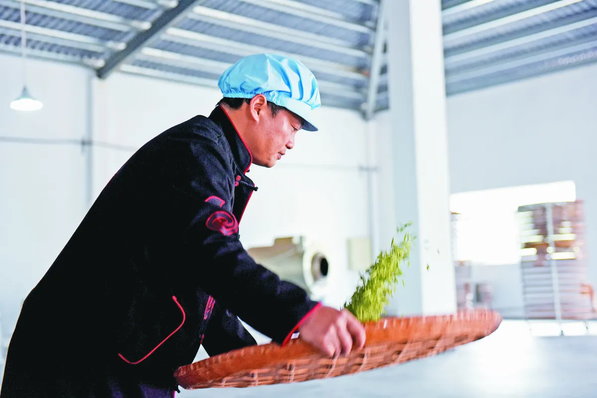 大陸社會觀察 江西浮梁縣 瓷茶名揚古今