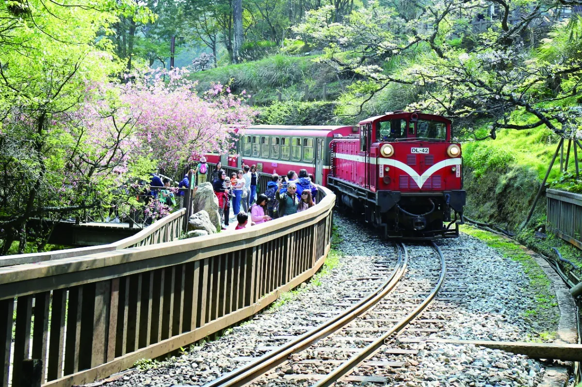 【自然筆記】趁早