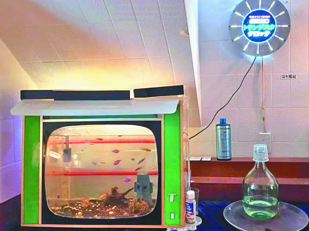 【生活快門】電視水族箱