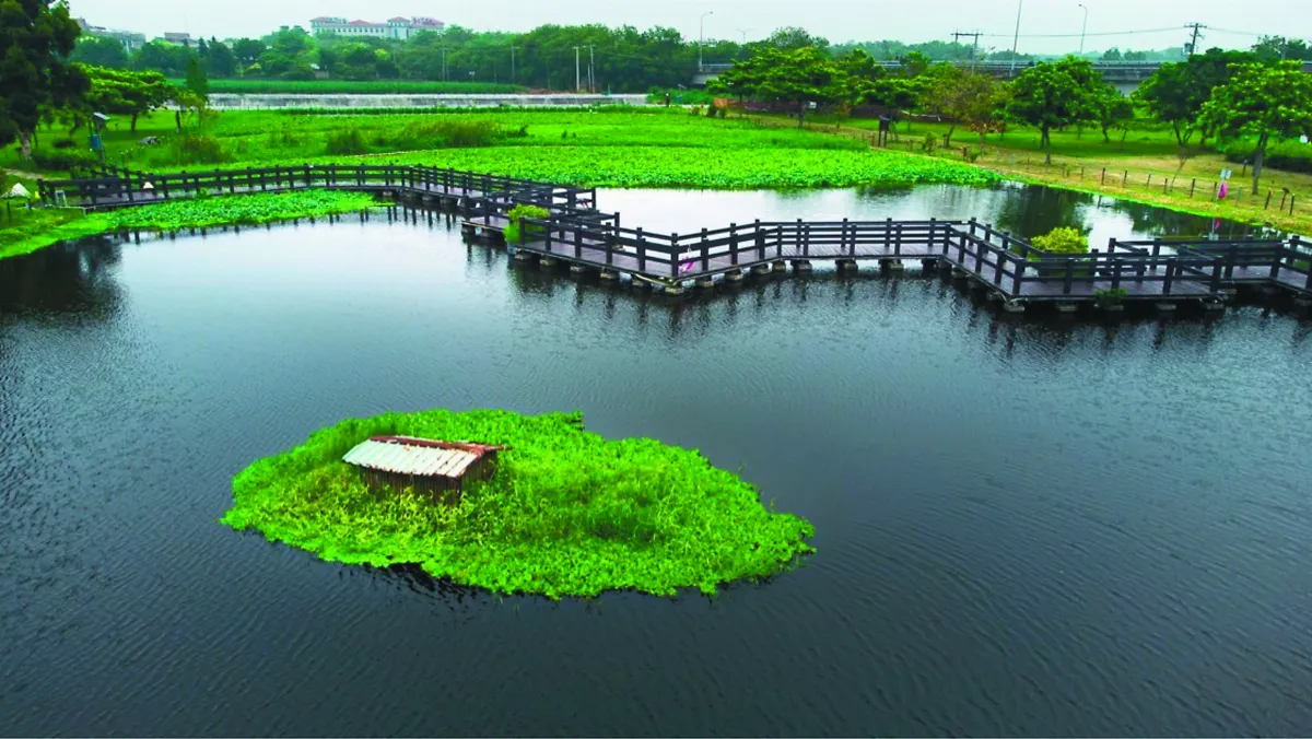 溼地祕境 浪漫十二曲橋