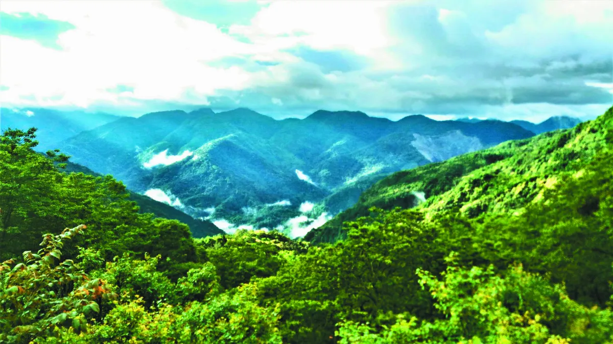 【印象旅人】 山中遇雨 何妨烹茶閒坐
