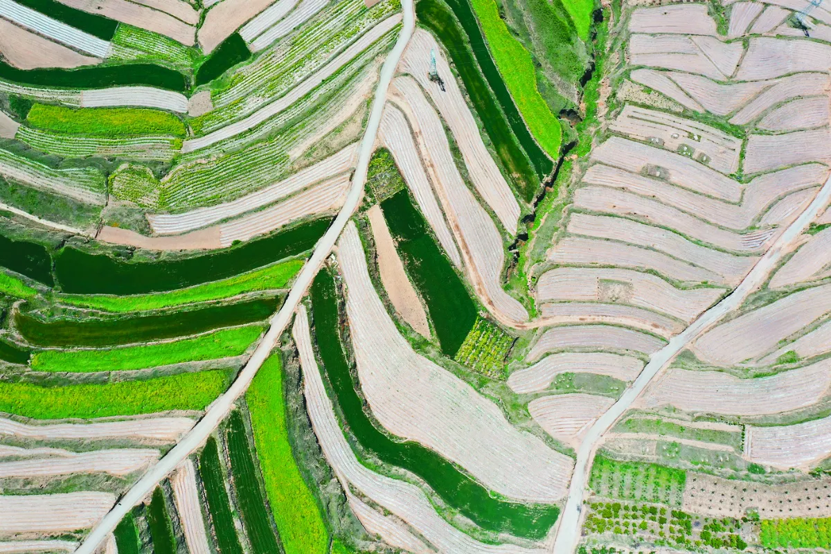 甘肅萬畝荒地 恢復生機