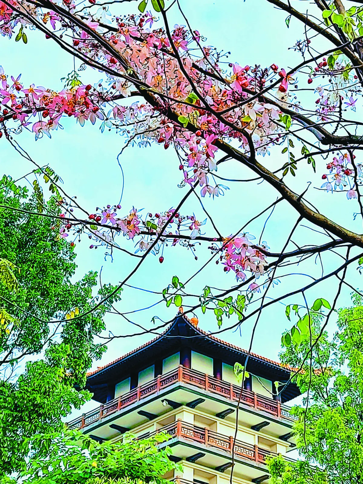 【紀實攝影】 一花一瓦一世界