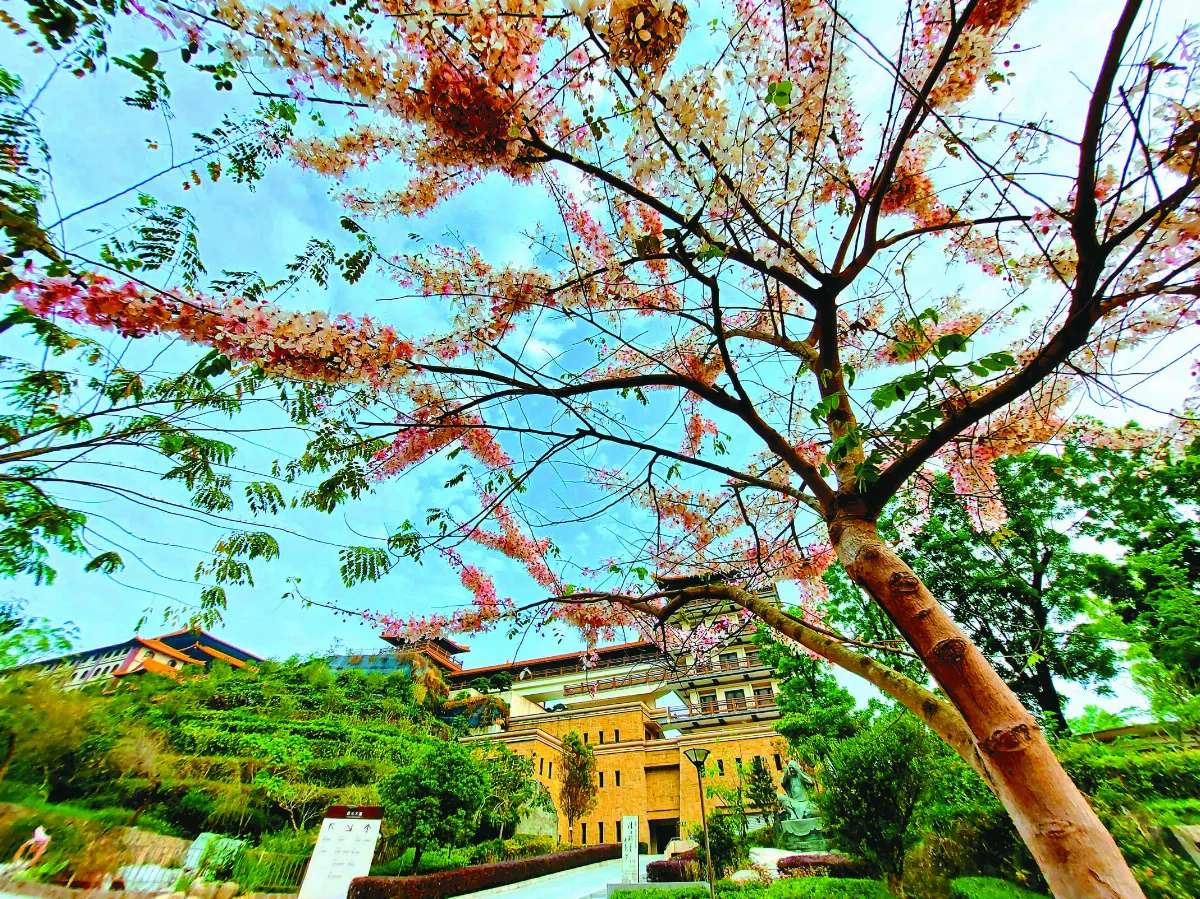 【紀實攝影】 一花一瓦一世界