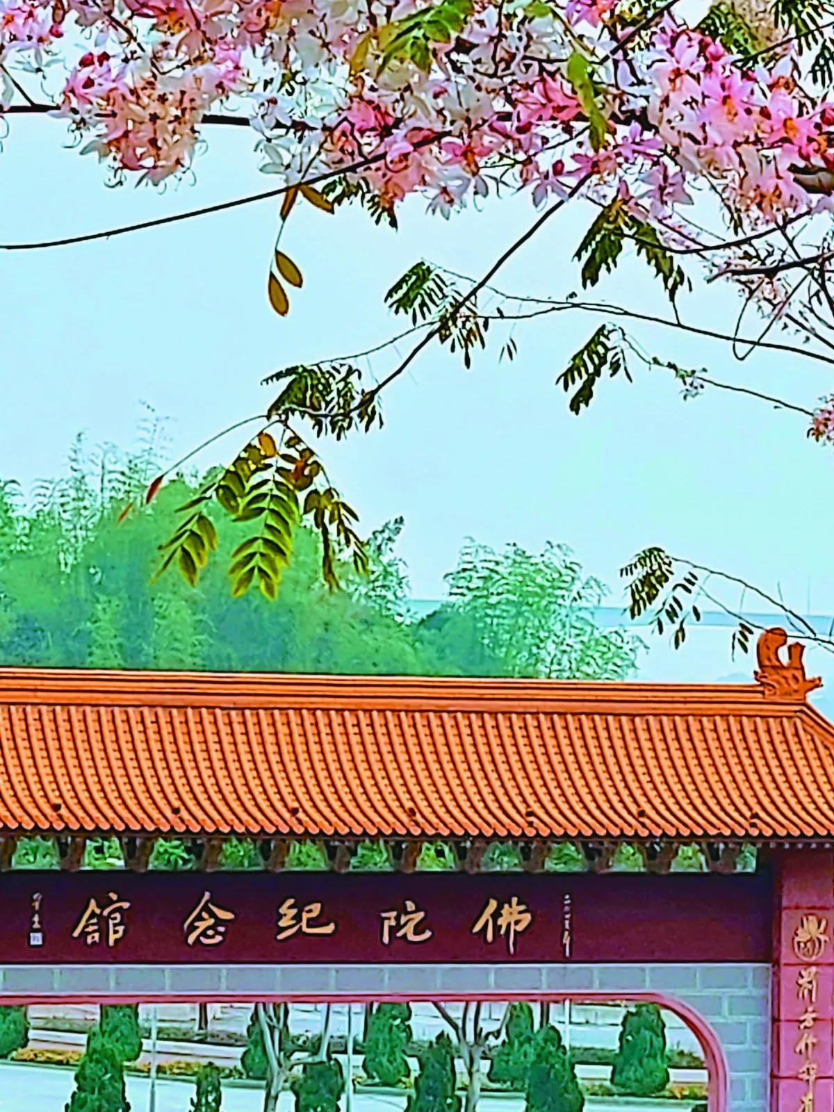 【紀實攝影】 一花一瓦一世界