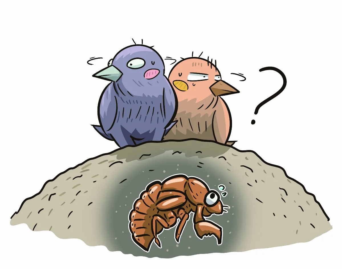 質數的美麗與哀愁