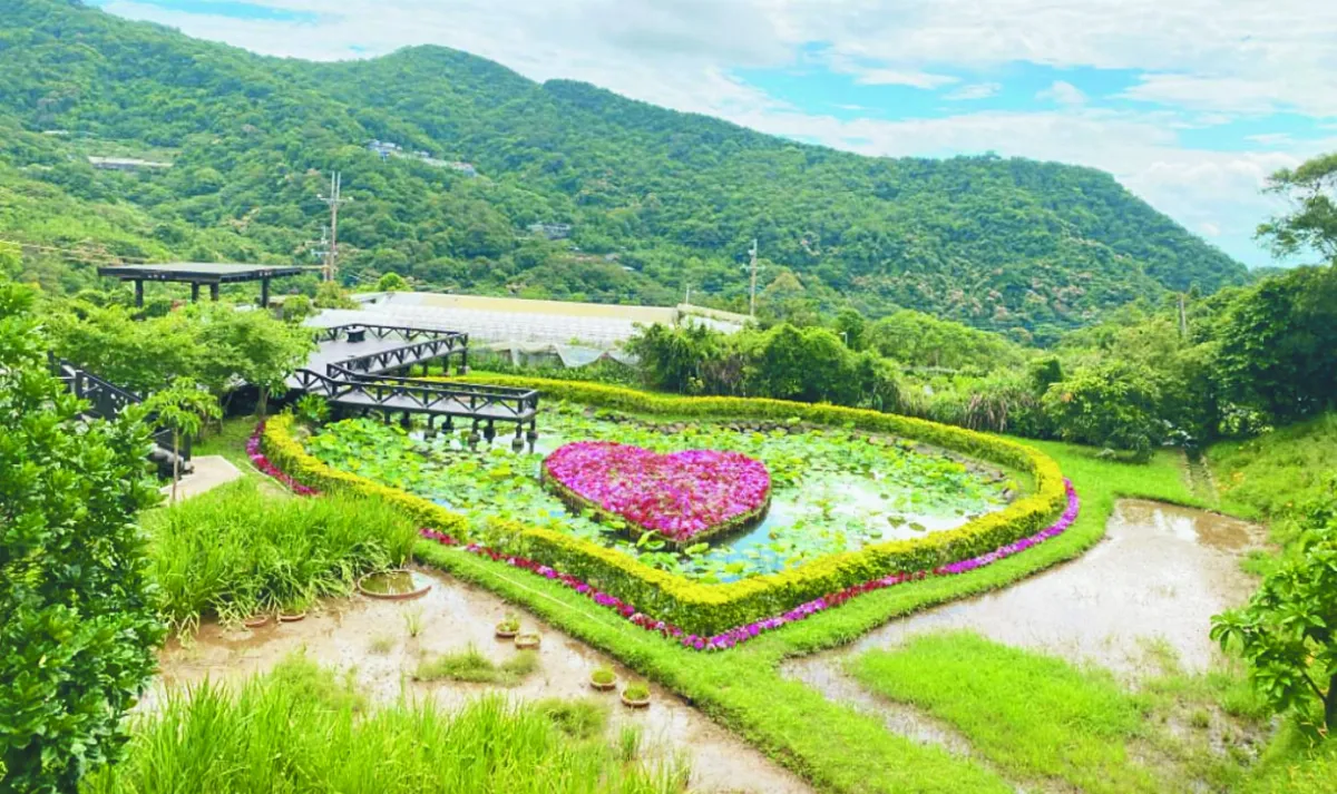 繽紛同心池 打卡熱點