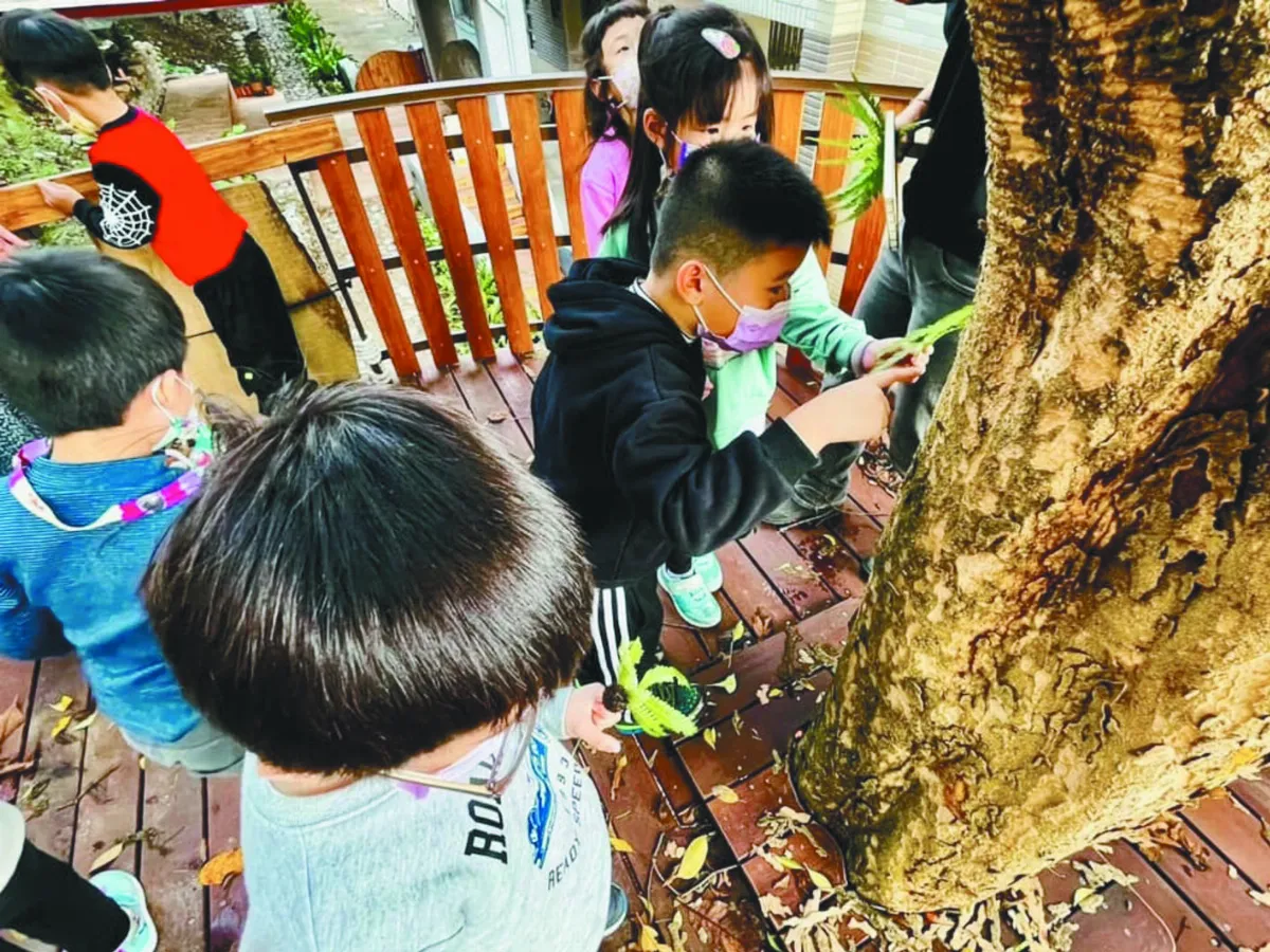 樹上故事館看獨角仙 上課像郊遊