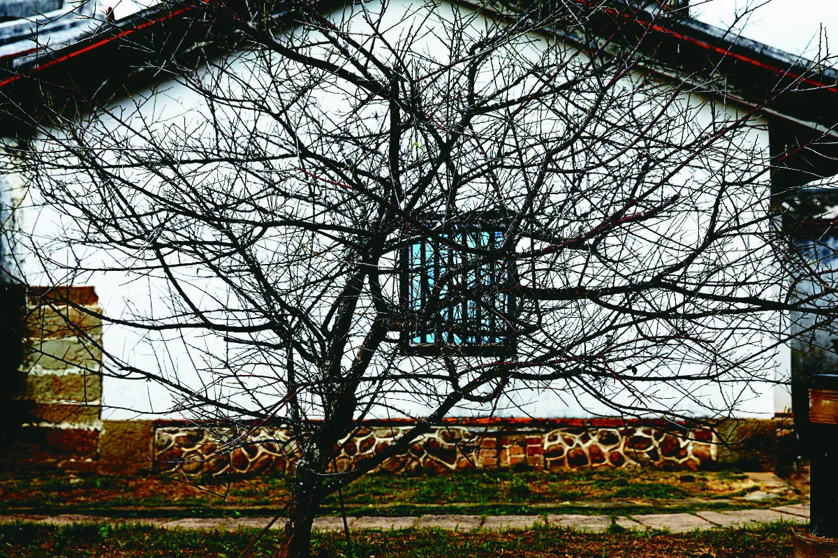 【生活文化】印象客家庄