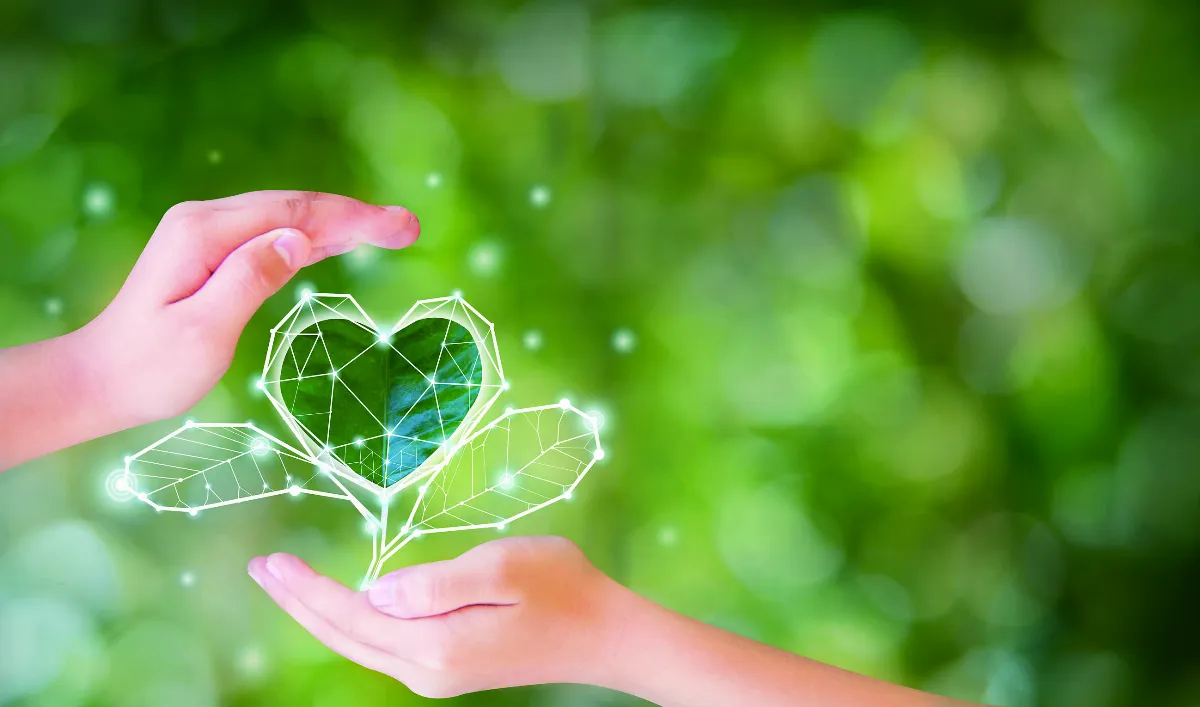 【法同舍】 安心，才去做