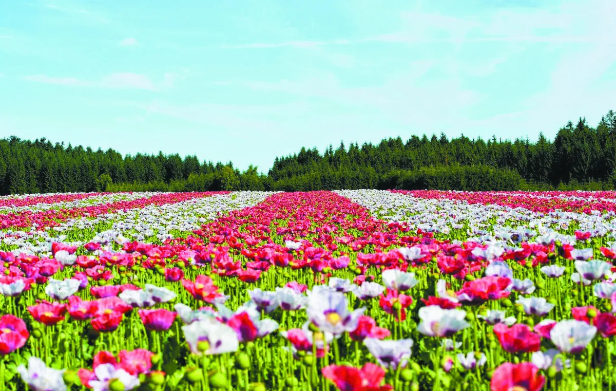 隨堂開示錄─教育講習 27  人能弘道  3-2