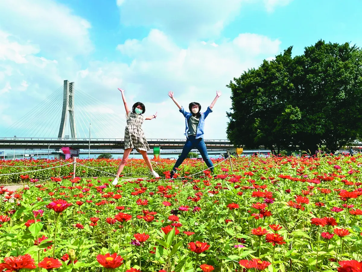 幸福水漾公園 花海盛開
