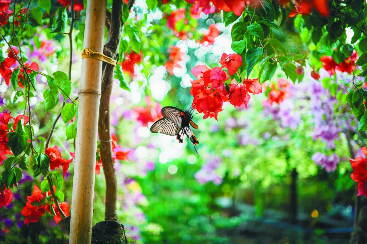 【法同舍】煩惱，都是因為貪心