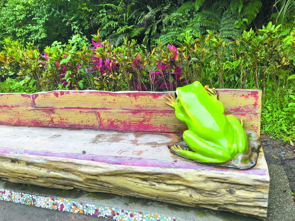 【生活快門】你躲在哪裡？