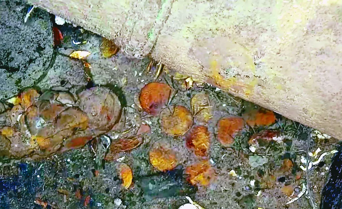 沉睡 300 年  寶藏船照首曝光
