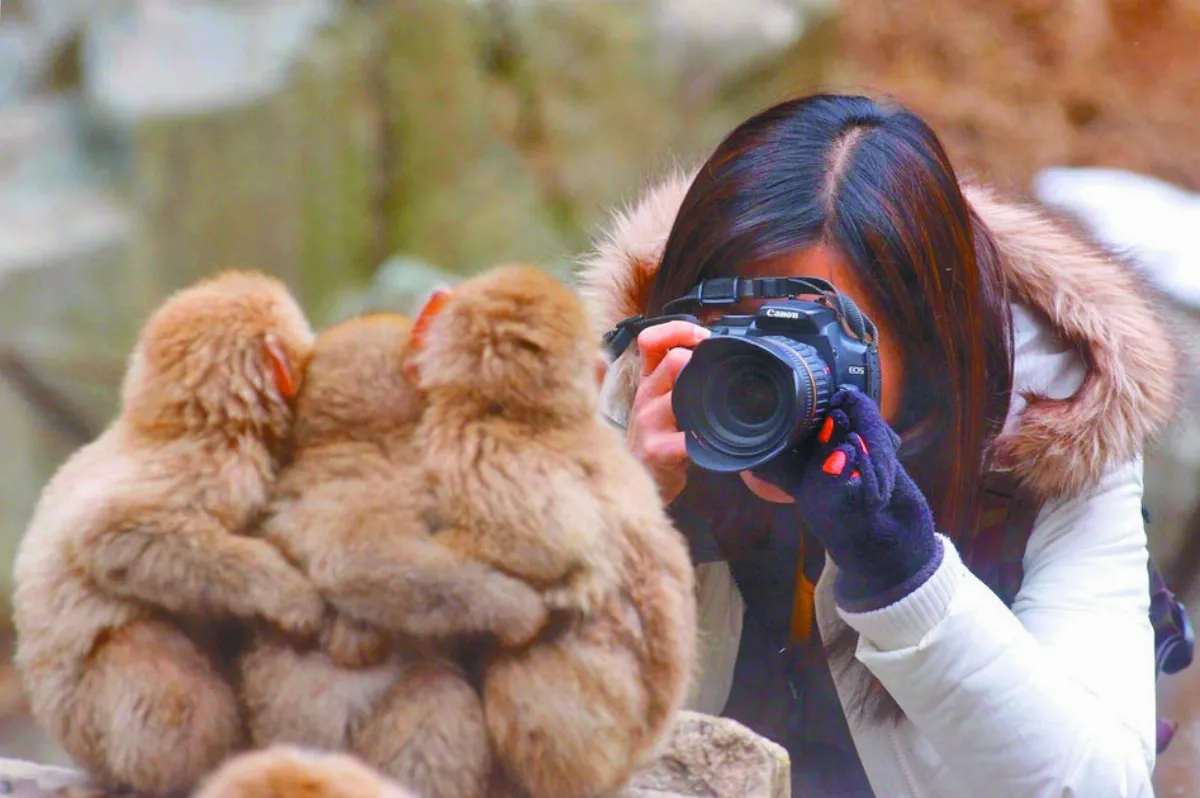 野生動物VS.攝影師