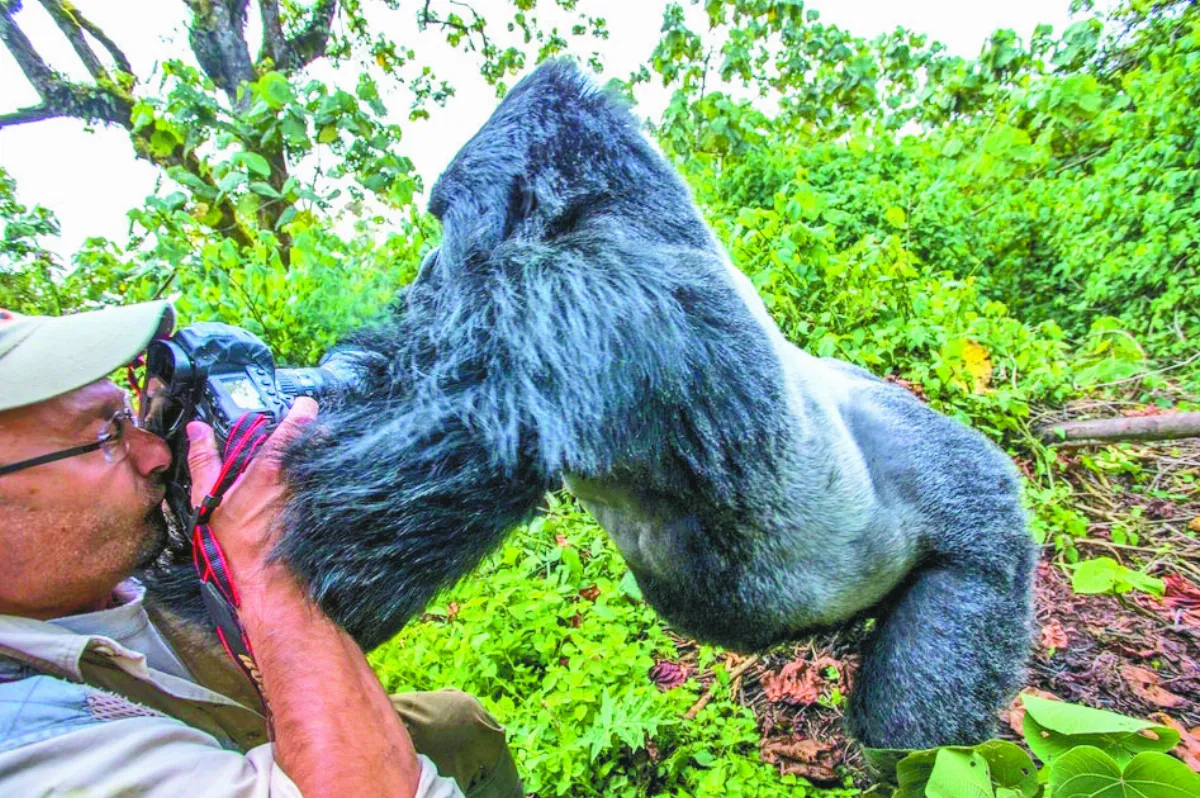 野生動物VS.攝影師