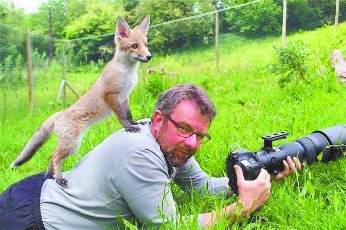 野生動物VS.攝影師