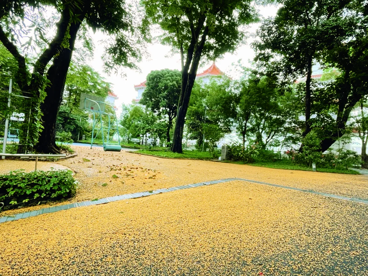 【法同舍】我們需要耐心的等候