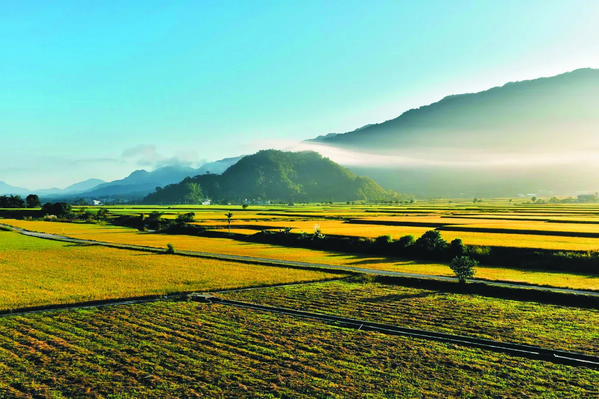 紀實攝影 歲月靜好