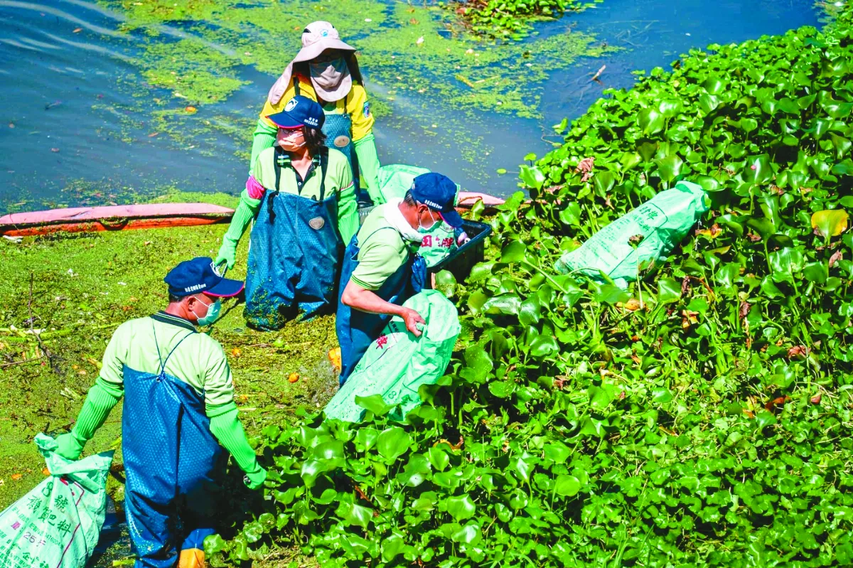 埔里水環境巡守隊 護溪河20年