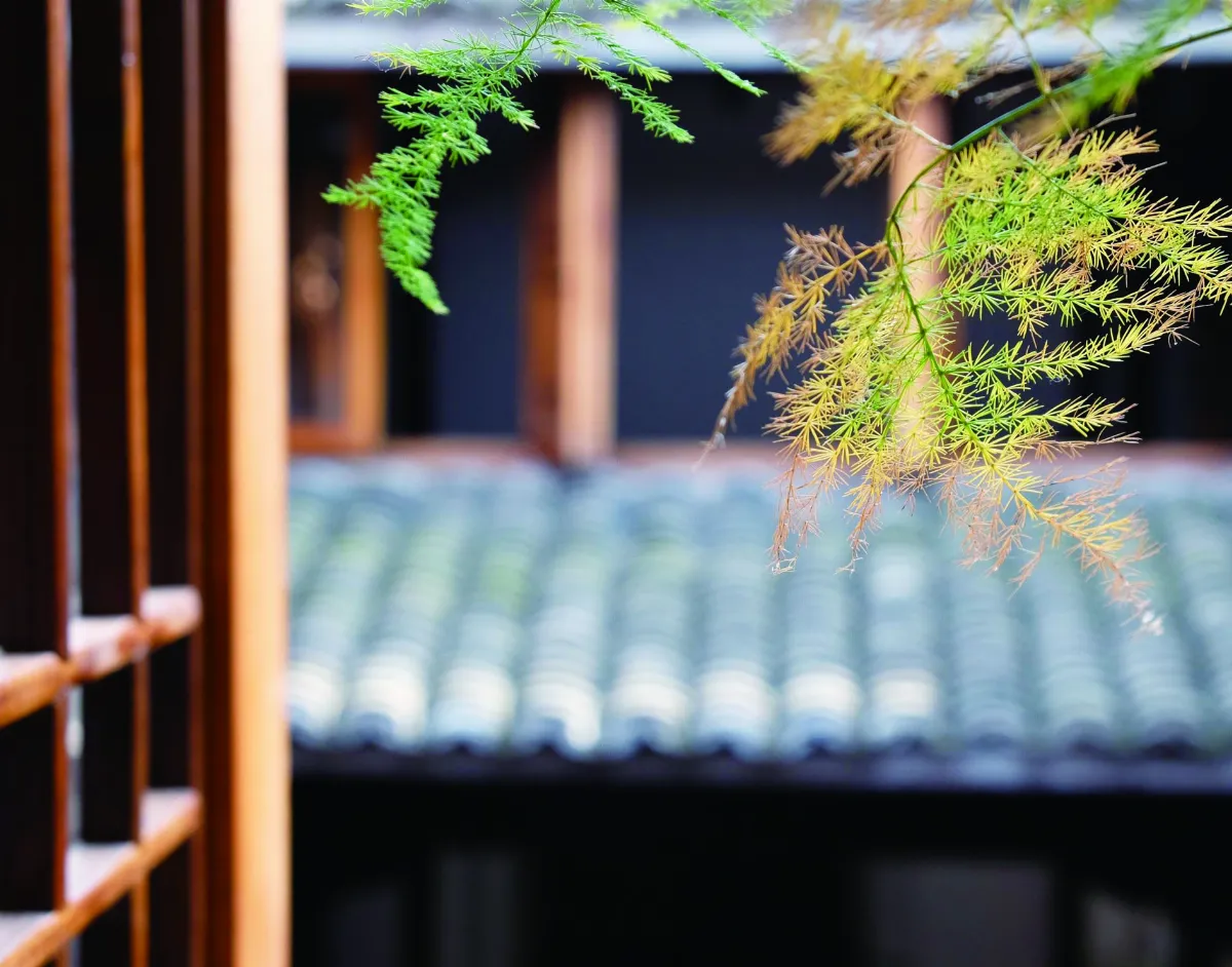 【我行遲遲】幽居讀書時