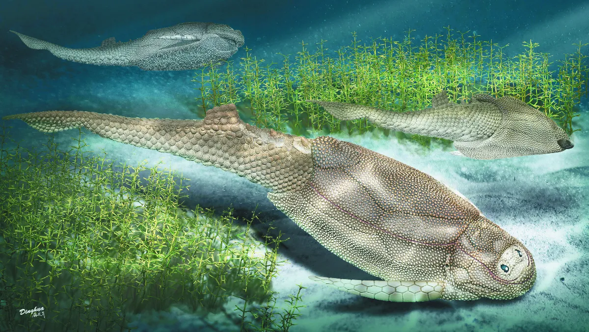 魚鱗演化史 4.1億年前化石揭祕