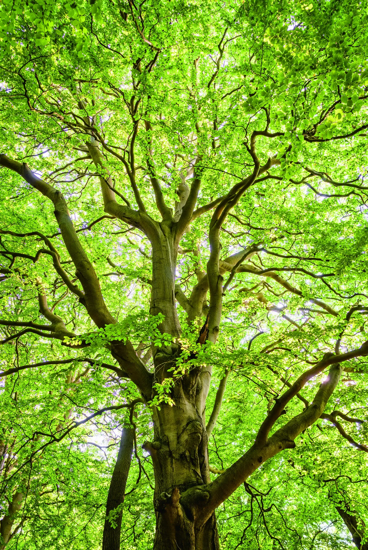 【法同舍】覺察安忍更新 －－ 無限未來