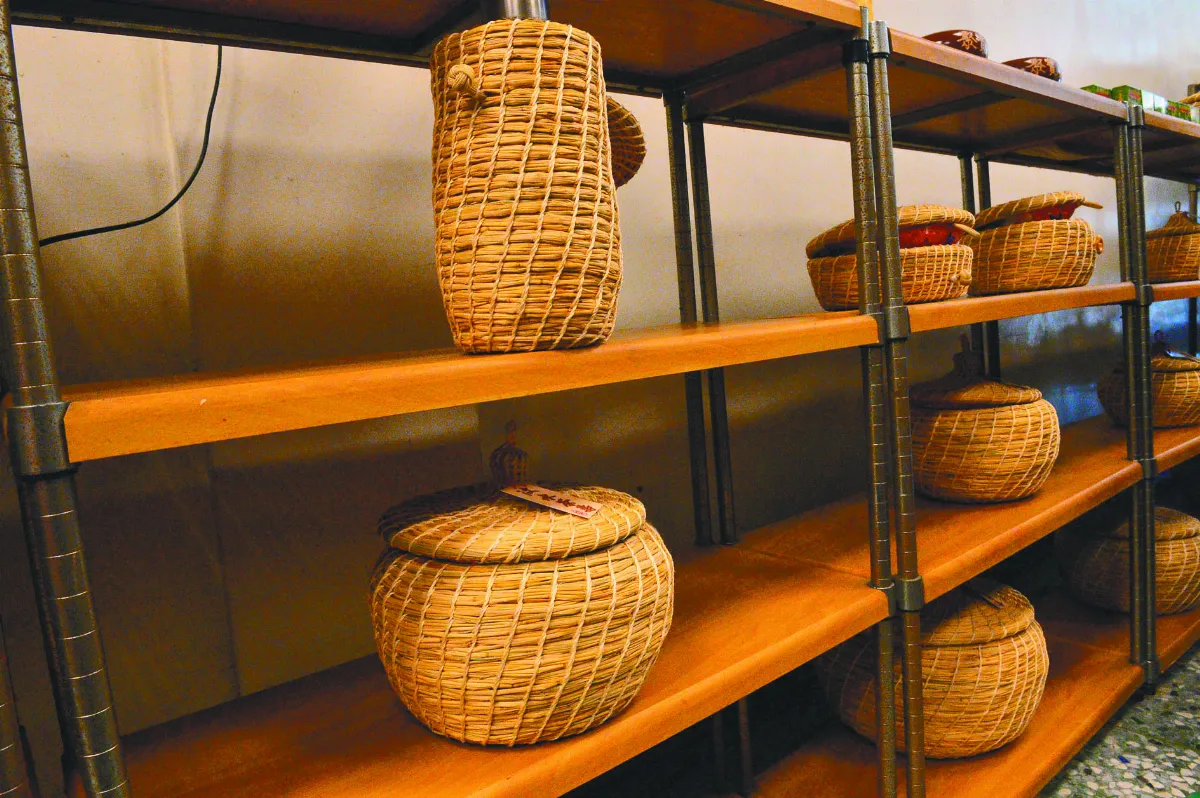 苗栗．獅潭 獅潭浪漫台3線 雲霧飄渺覆山巔