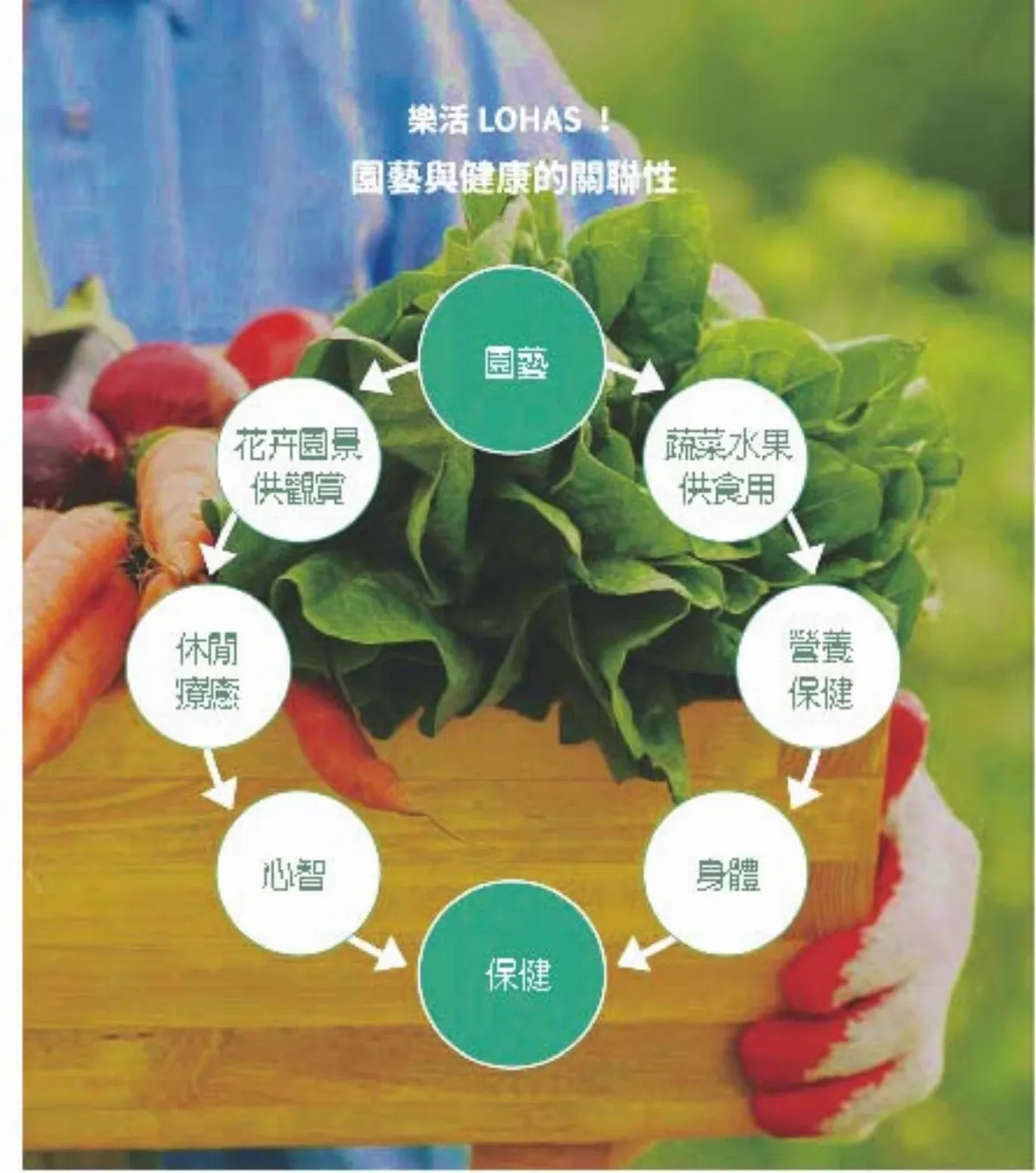 全蔬食 21天健康挑戰
