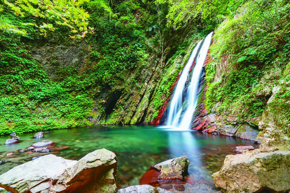 竹縣12條動物步道 消暑好選擇