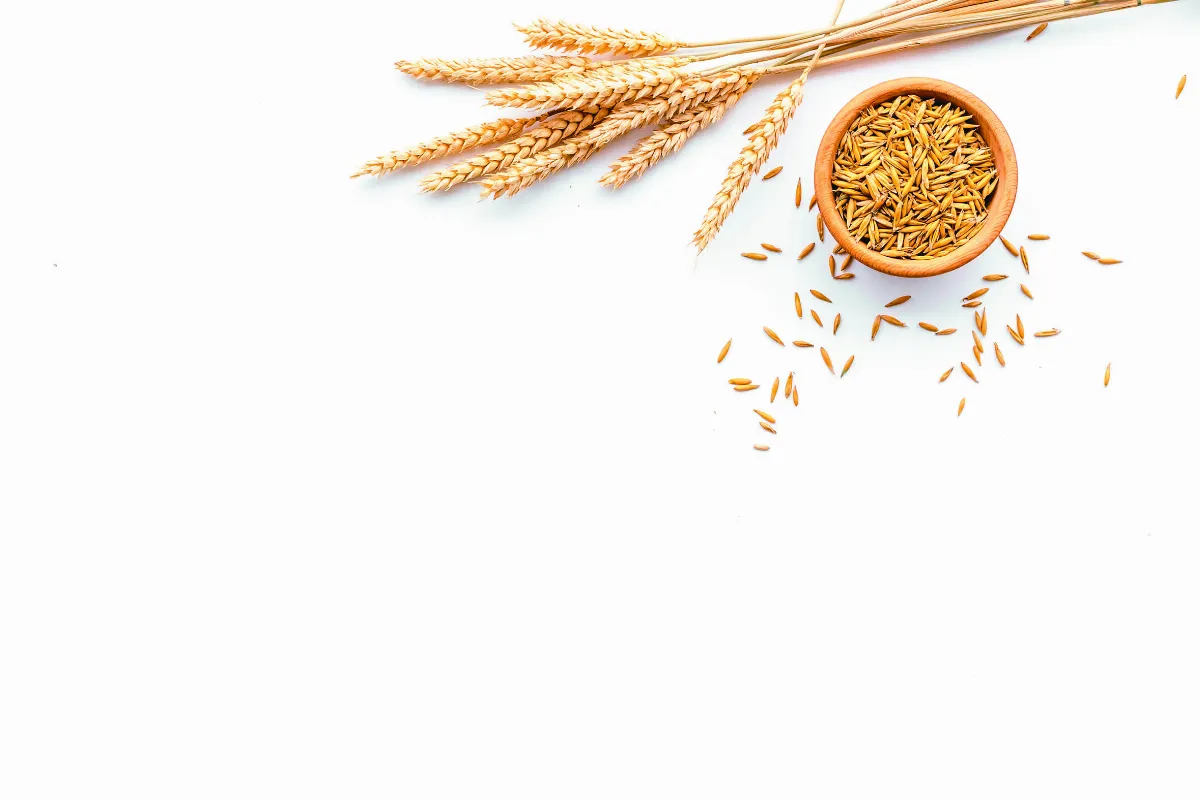 仿真風潮 擋不了6大Vegan趨勢