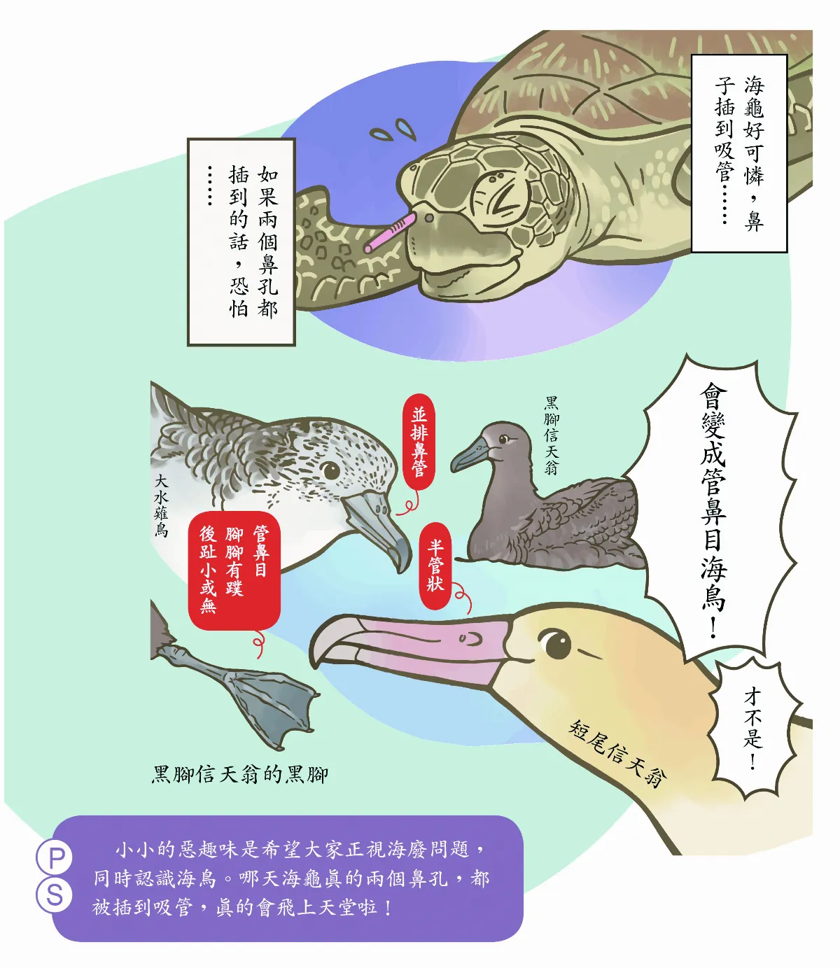 【玉子手札】迷人海鳥