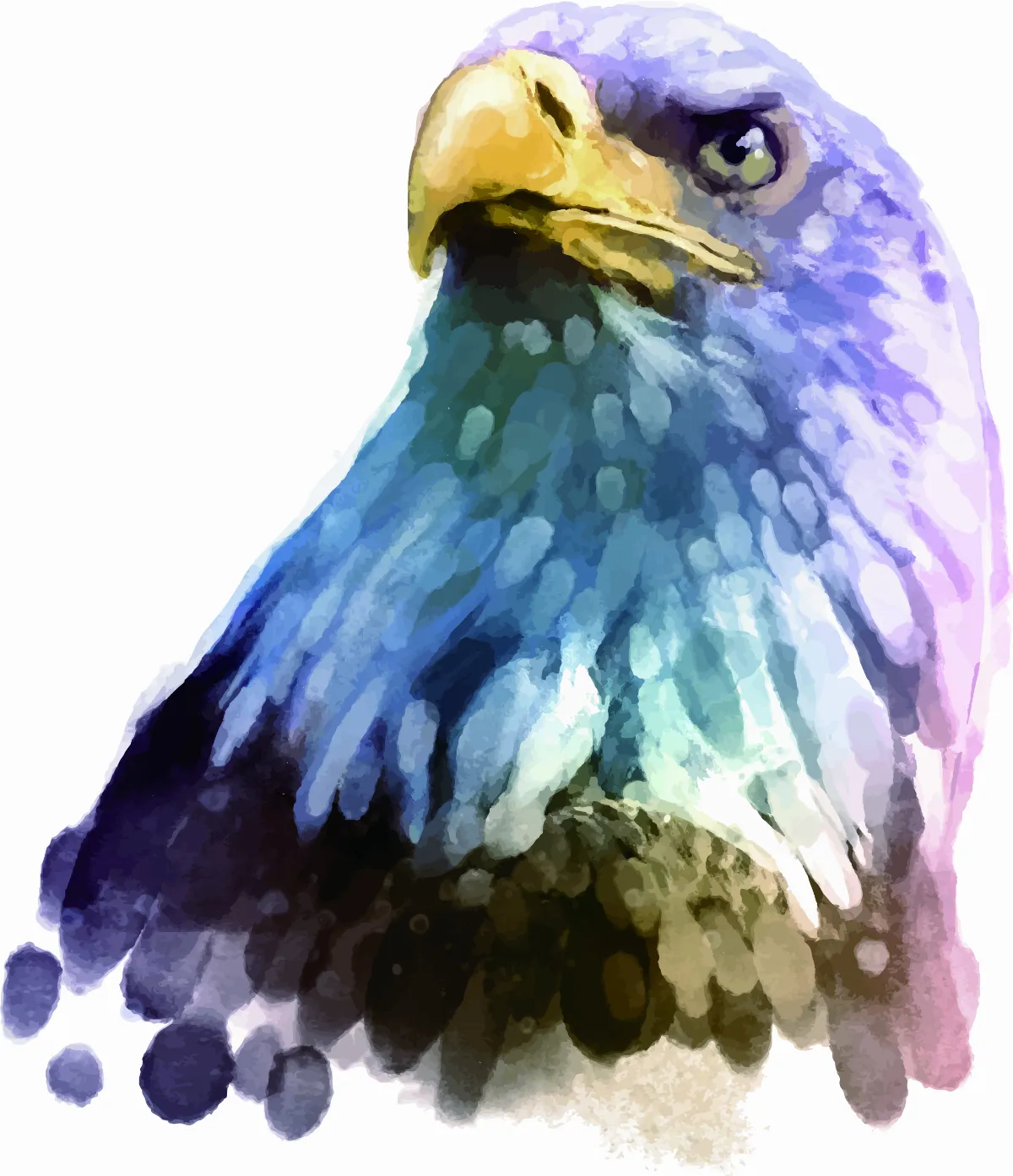 鳥鼻子